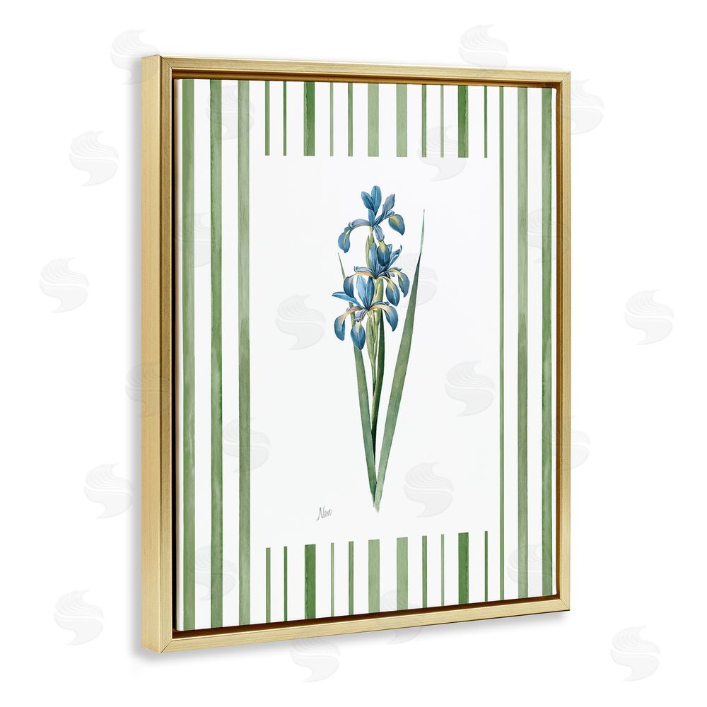 Nan Spring Irises with Stripes Gold Floating Frame Canvas Wall Art Print