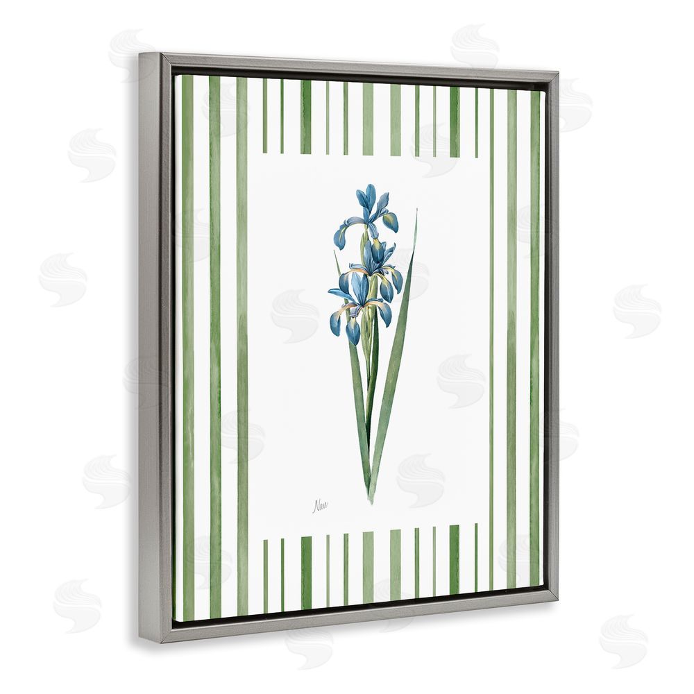 Nan Spring Irises with Stripes Gray Floating Frame Canvas Wall Art Print