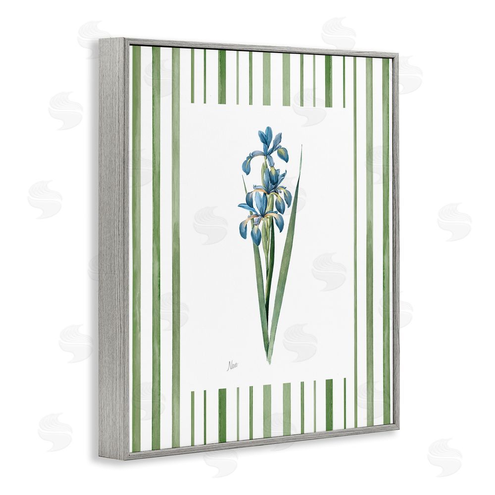 Nan Spring Irises with Stripes Gray Framed Giclee Wall Art Print