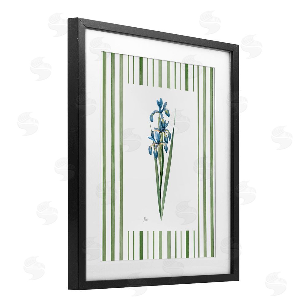 Nan Spring Irises with Stripes Black Framed Print Under Glass Wall Art