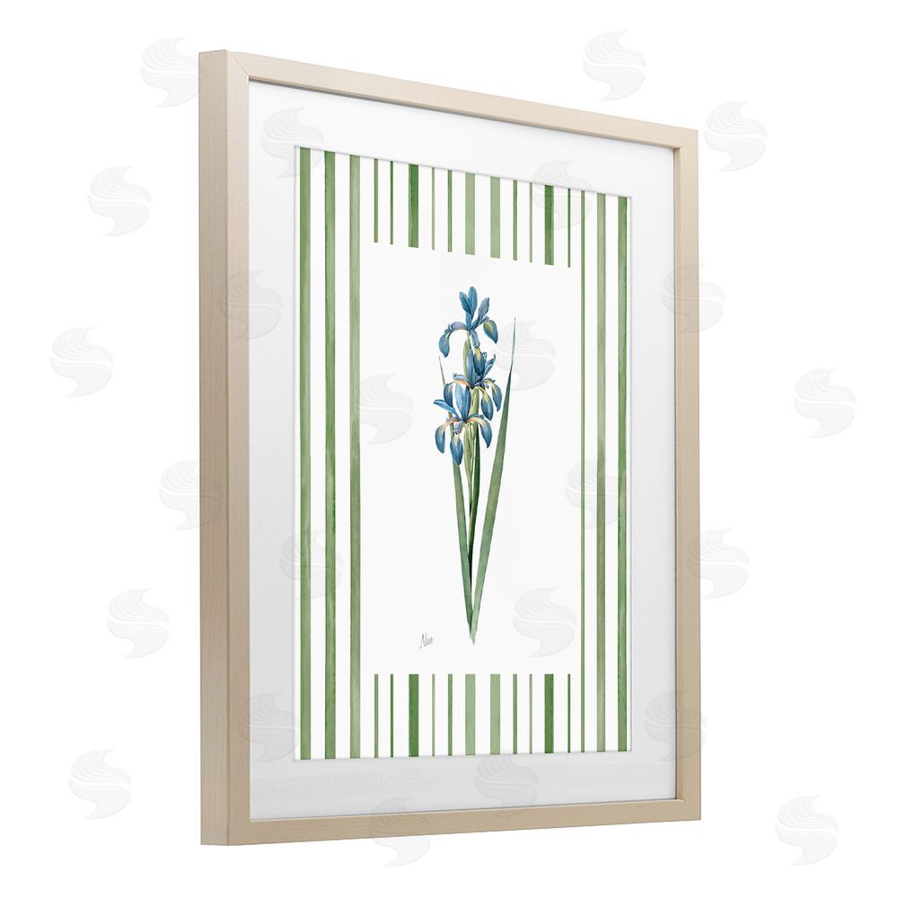 Nan Spring Irises with Stripes Birch Framed Print Under Glass Wall Art