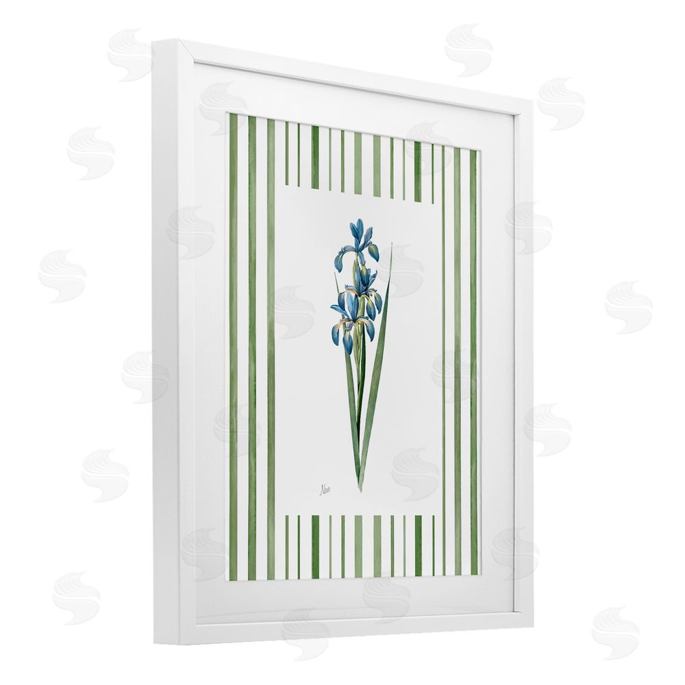 Nan Spring Irises with Stripes White Framed Print Under Glass Wall Art