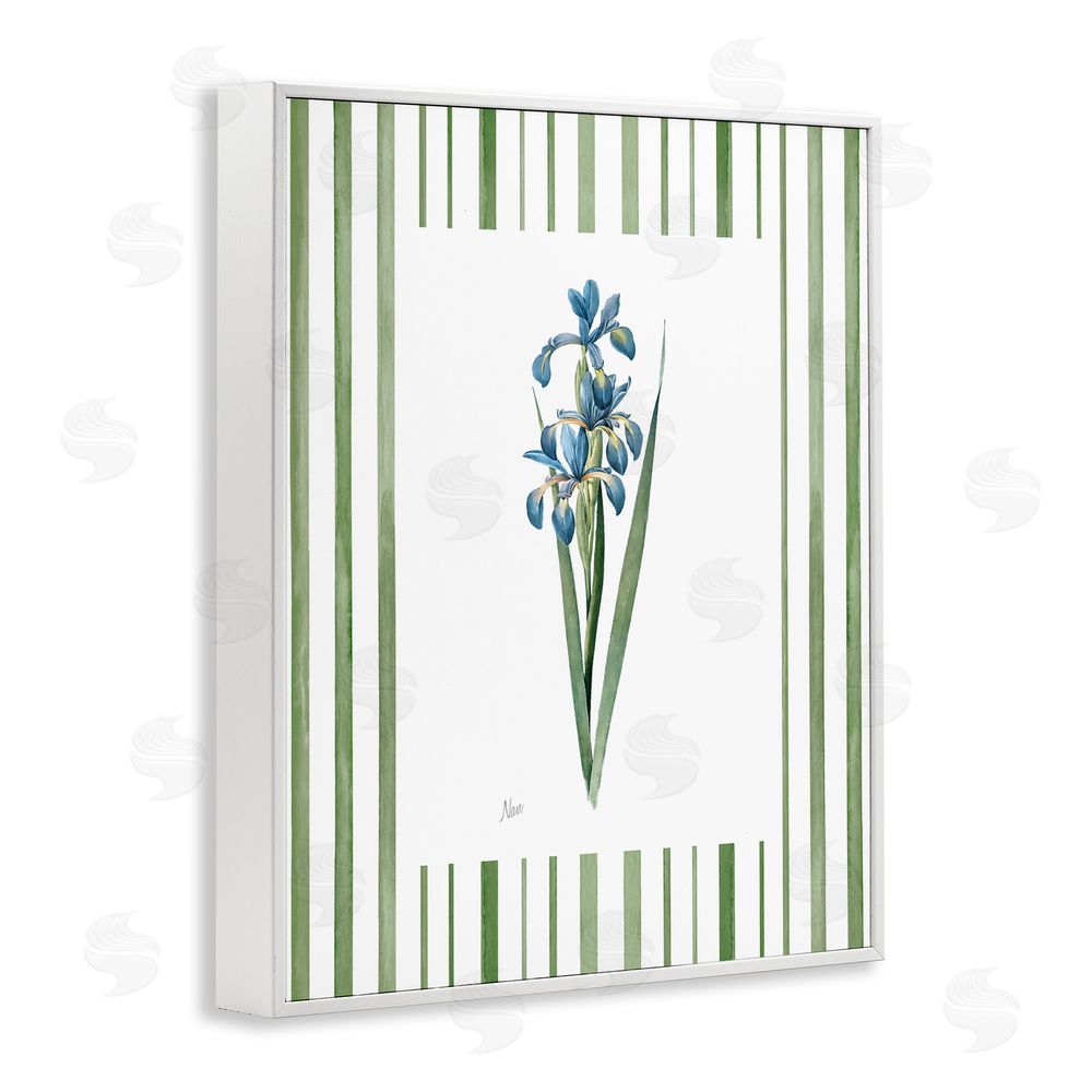 Nan Spring Irises with Stripes White Framed Giclee Wall Art Print