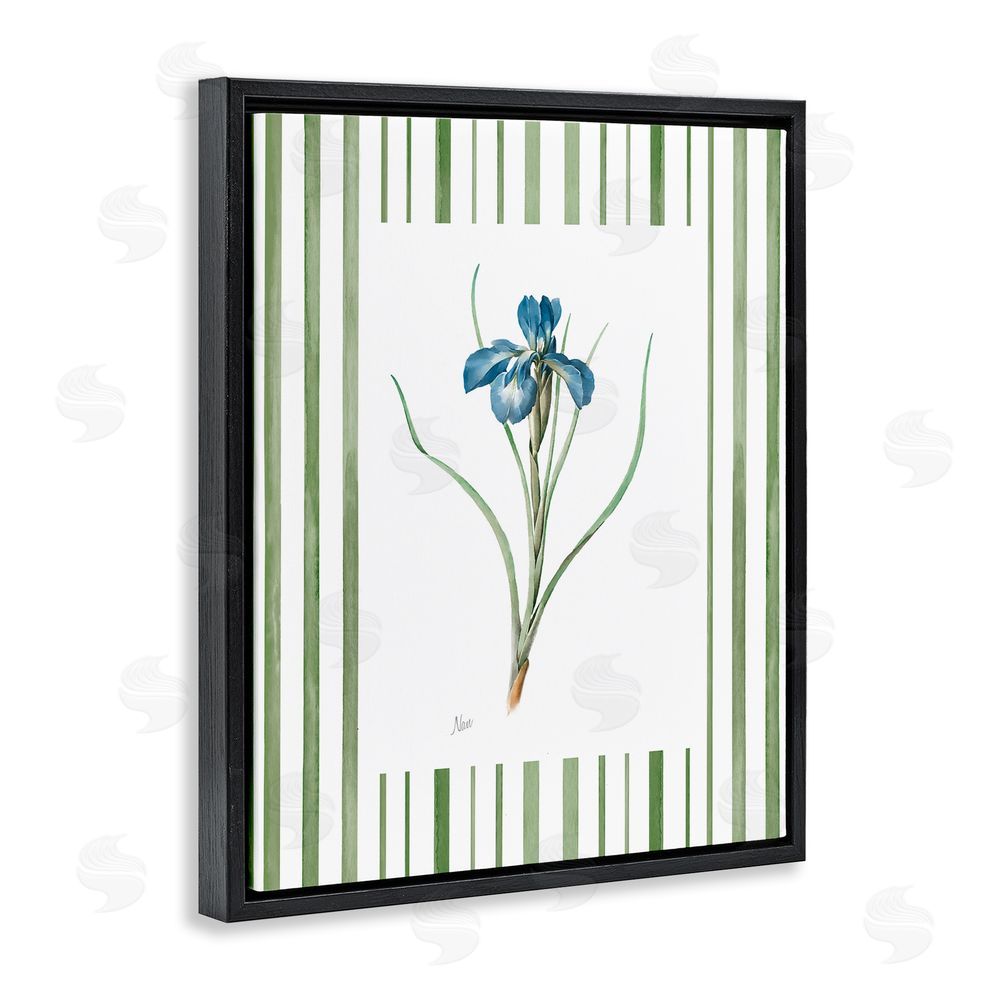 Nan Spring Iris And Stripes Black Floating Frame Canvas Wall Art Print