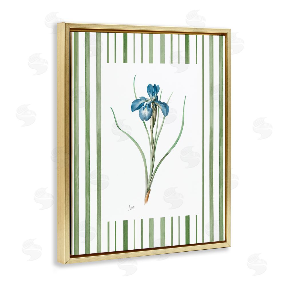 Nan Spring Iris And Stripes Gold Floating Frame Canvas Wall Art Print