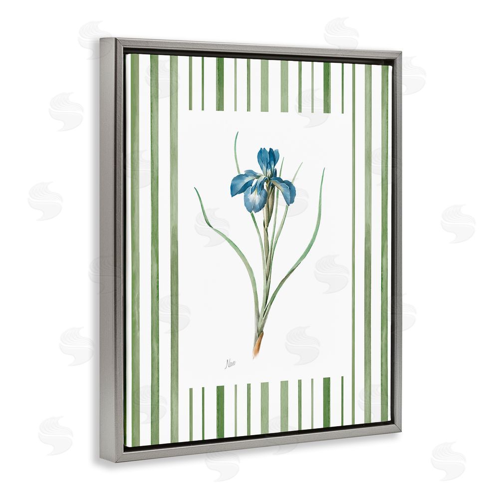 Nan Spring Iris And Stripes Gray Floating Frame Canvas Wall Art Print