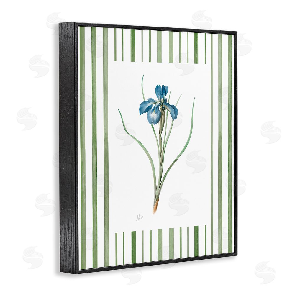 Nan Spring Iris And Stripes Black Framed Giclee Wall Art Print