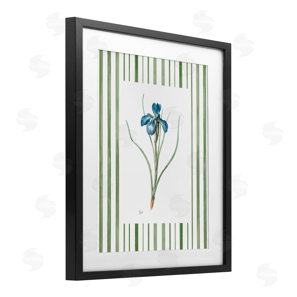 Nan Spring Iris And Stripes Black Framed Print Under Glass Wall Art