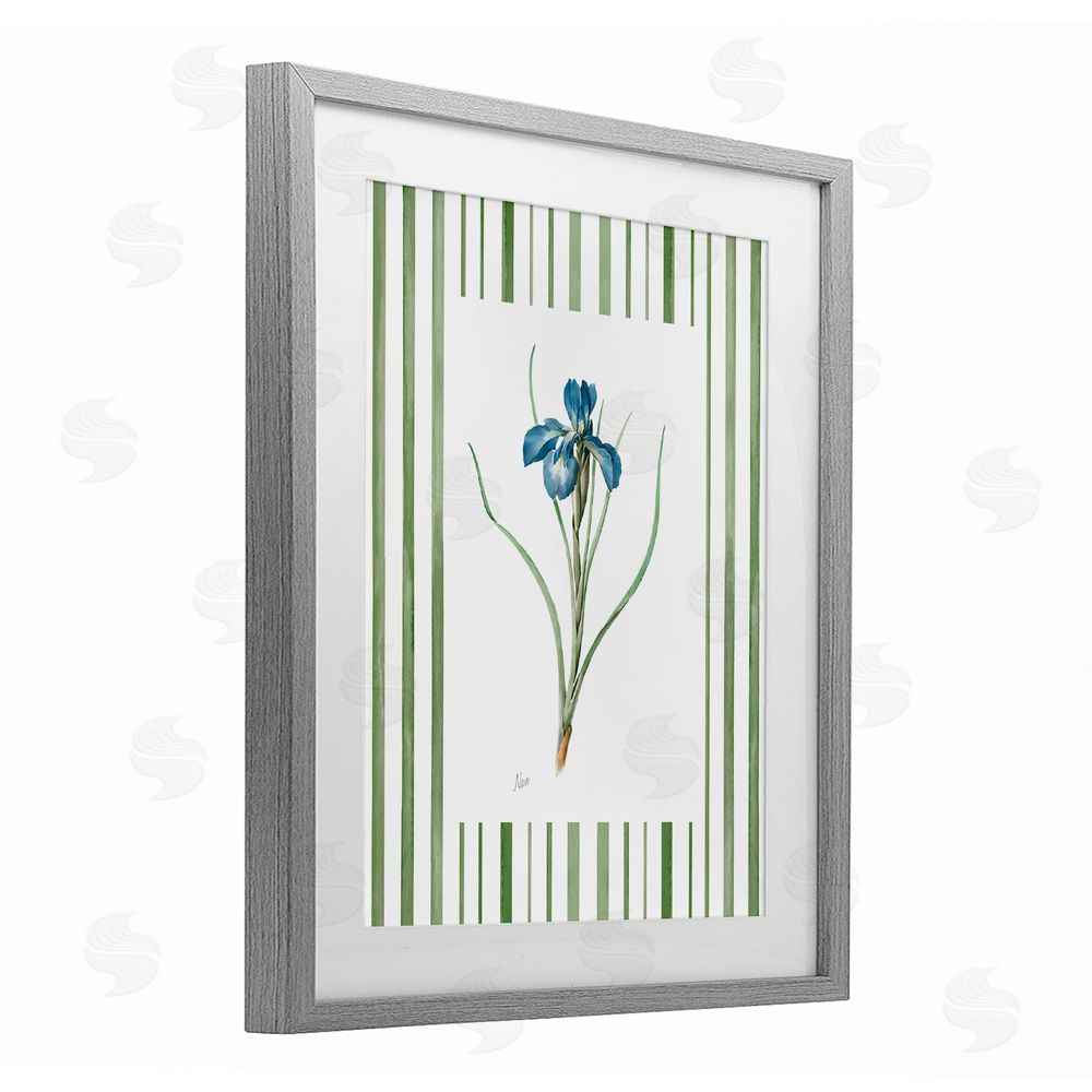 Nan Spring Iris And Stripes Gray Framed Print Under Glass Wall Art