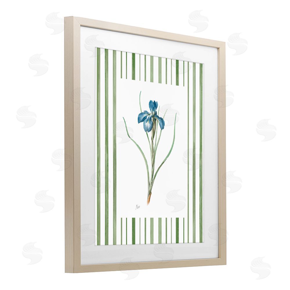 Nan Spring Iris And Stripes Birch Framed Print Under Glass Wall Art