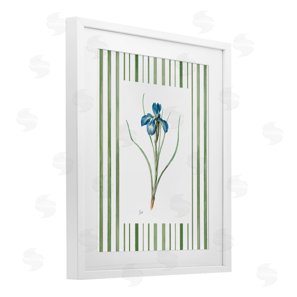 Nan Spring Iris And Stripes White Framed Print Under Glass Wall Art