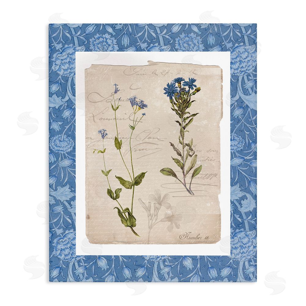 Livi Finn Blue Vintage Botanicals Stretched Canvas Wall Art
