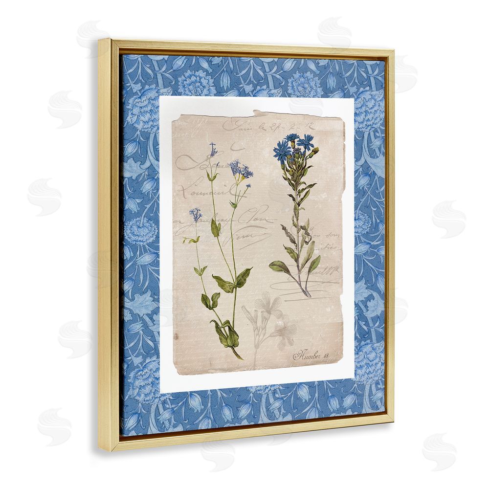 Livi Finn Blue Vintage Botanicals Gold Floating Frame Canvas Wall Art Print