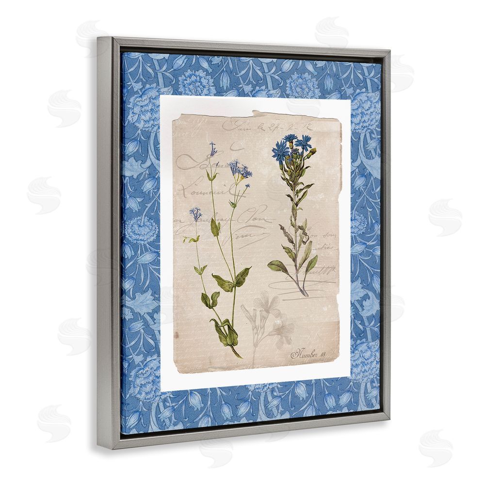 Livi Finn Blue Vintage Botanicals Gray Floating Frame Canvas Wall Art Print