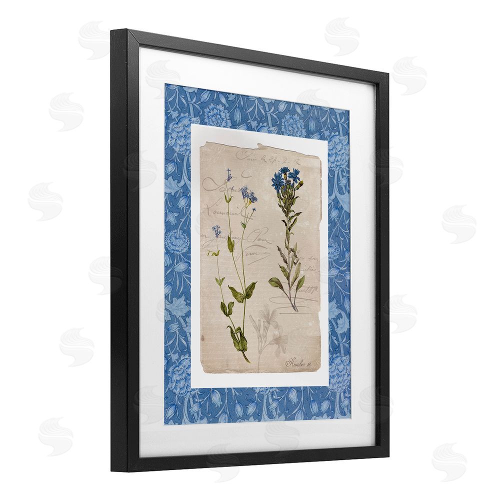 Livi Finn Blue Vintage Botanicals Black Framed Print Under Glass Wall Art