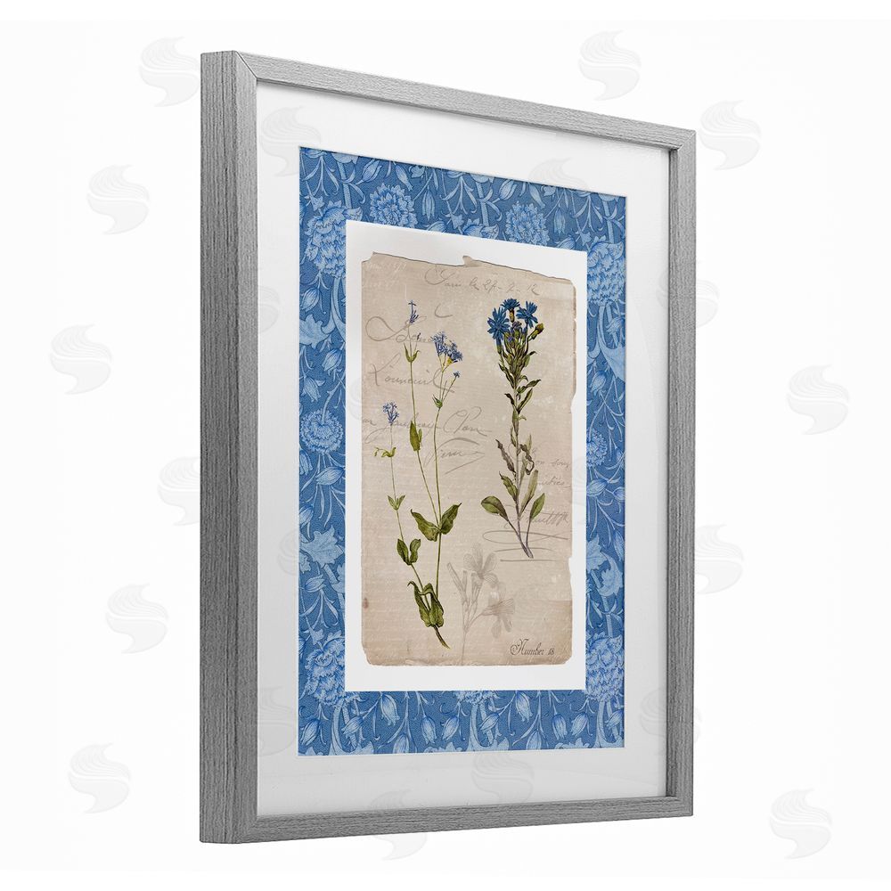 Livi Finn Blue Vintage Botanicals Gray Framed Print Under Glass Wall Art