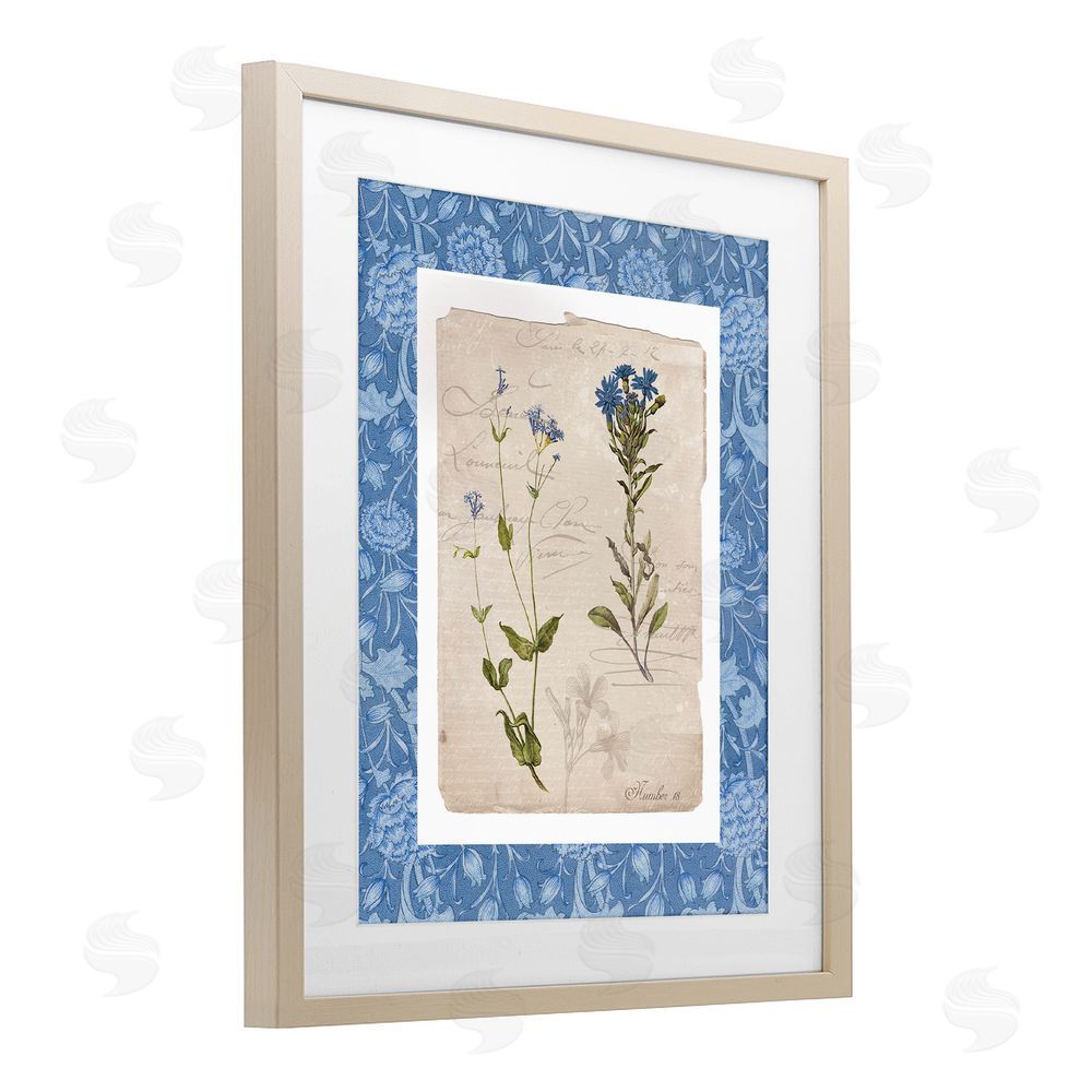 Livi Finn Blue Vintage Botanicals Birch Framed Print Under Glass Wall Art