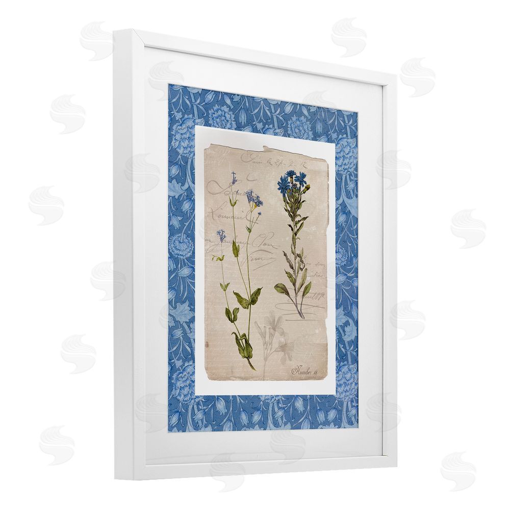 Livi Finn Blue Vintage Botanicals White Framed Print Under Glass Wall Art
