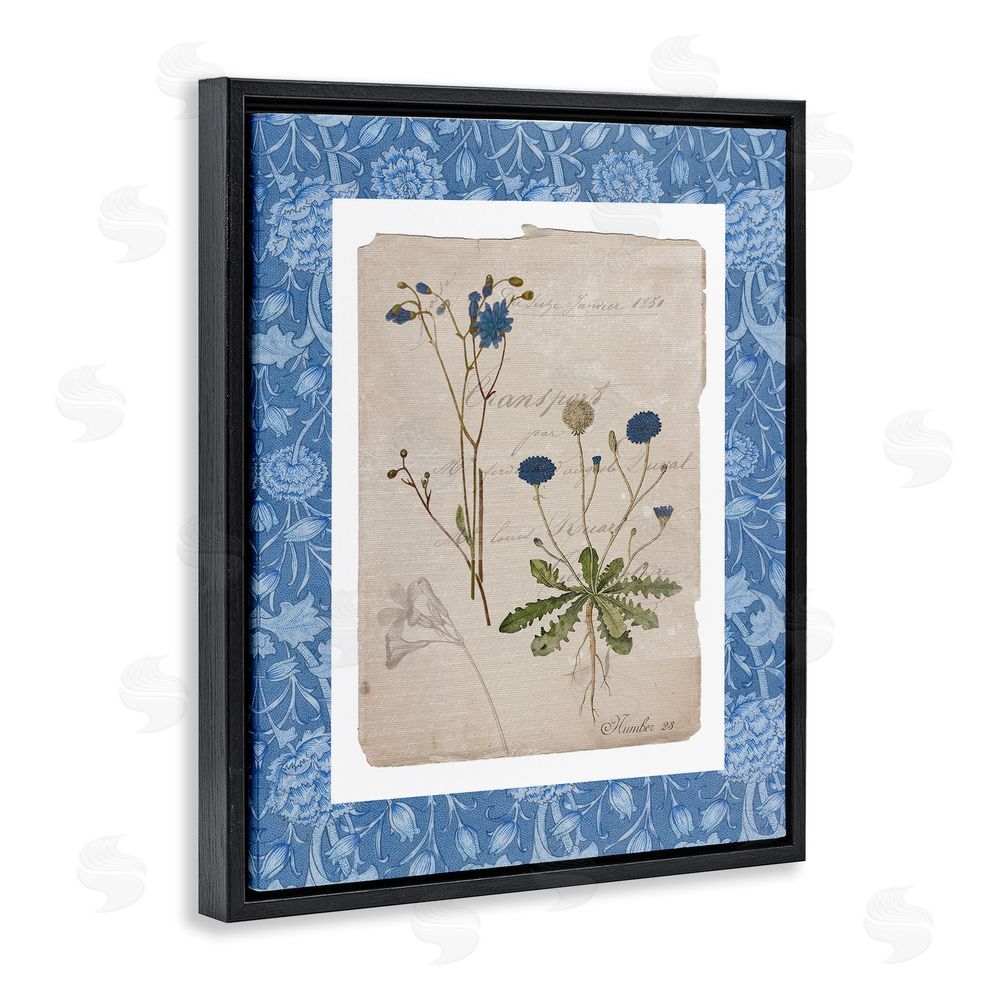 Livi Finn Blue Antique Herbs Black Floating Frame Canvas Wall Art Print