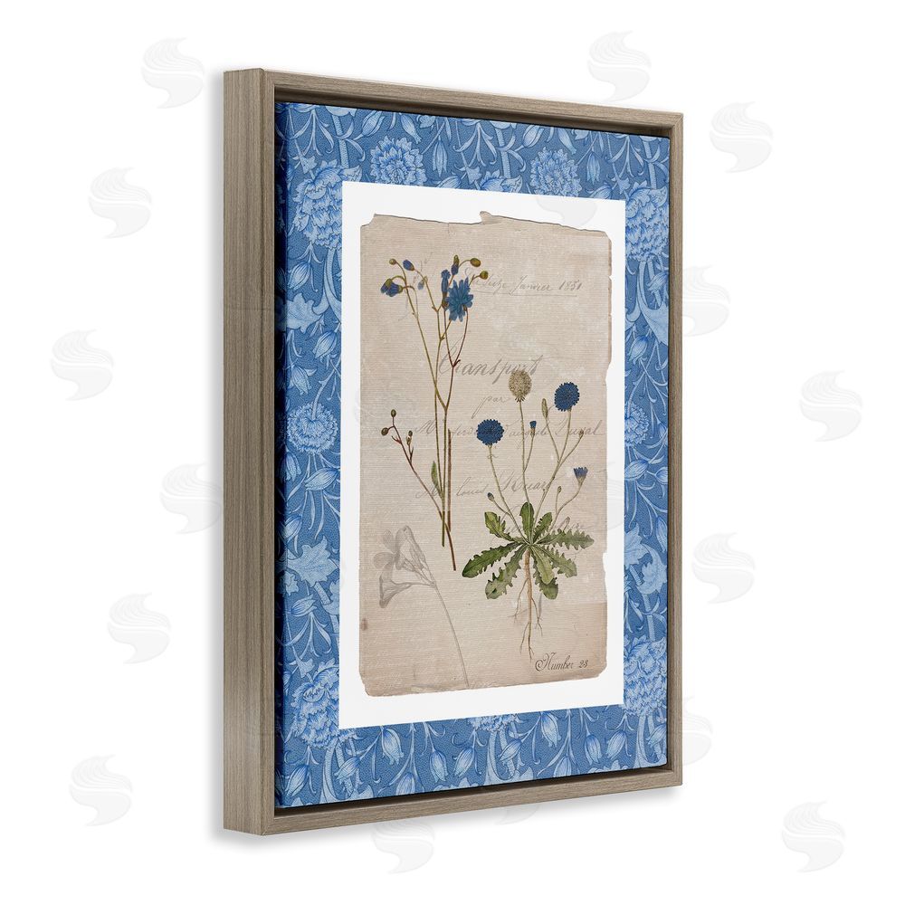 Livi Finn Blue Antique Herbs Brown Floating Frame Canvas Wall Art Print