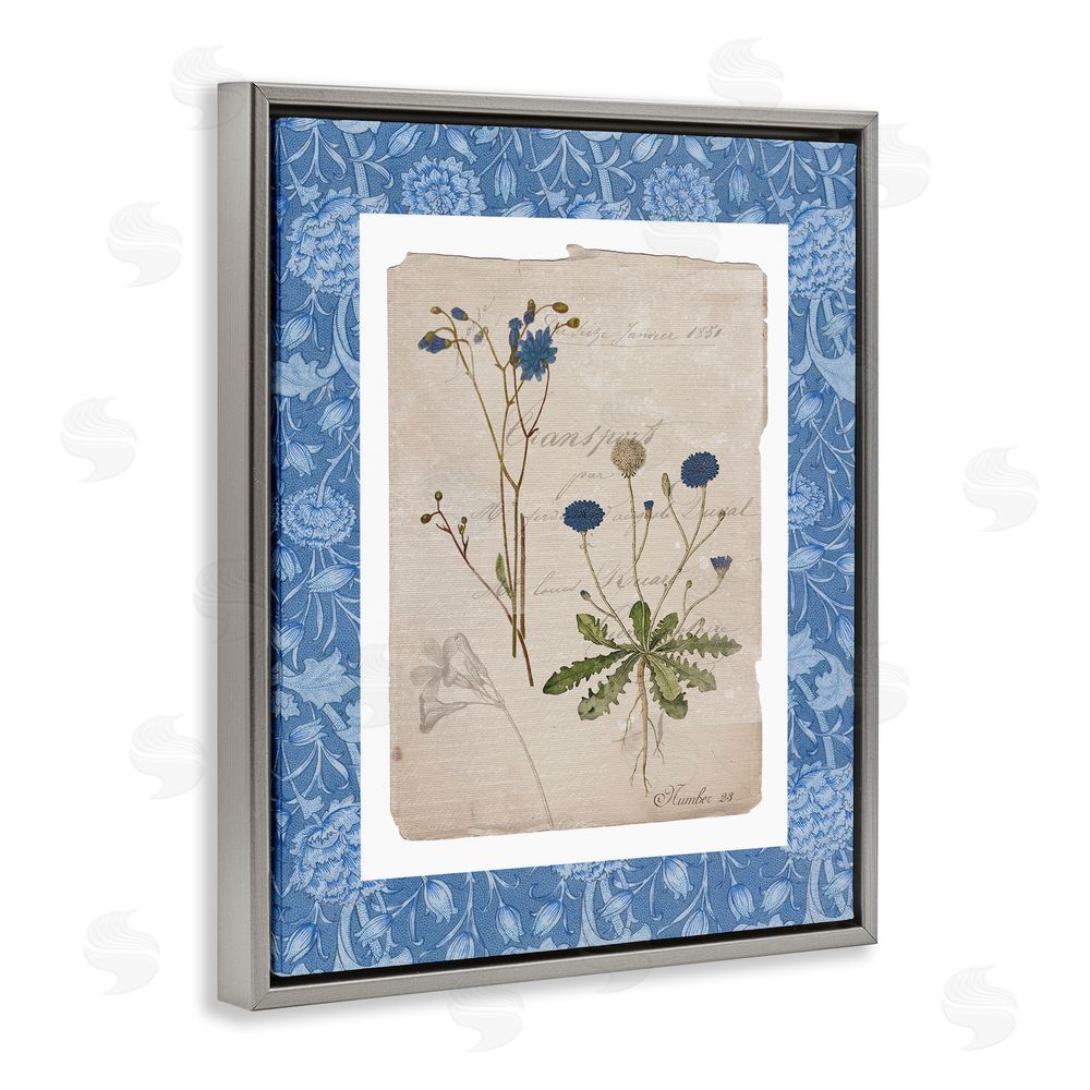 Livi Finn Blue Antique Herbs Gray Floating Frame Canvas Wall Art Print