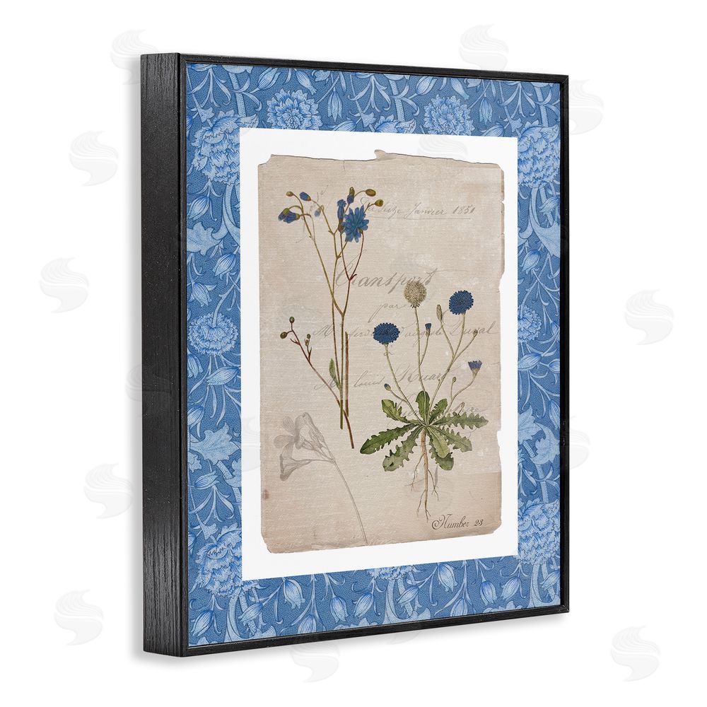 Livi Finn Blue Antique Herbs Black Framed Giclee Wall Art Print