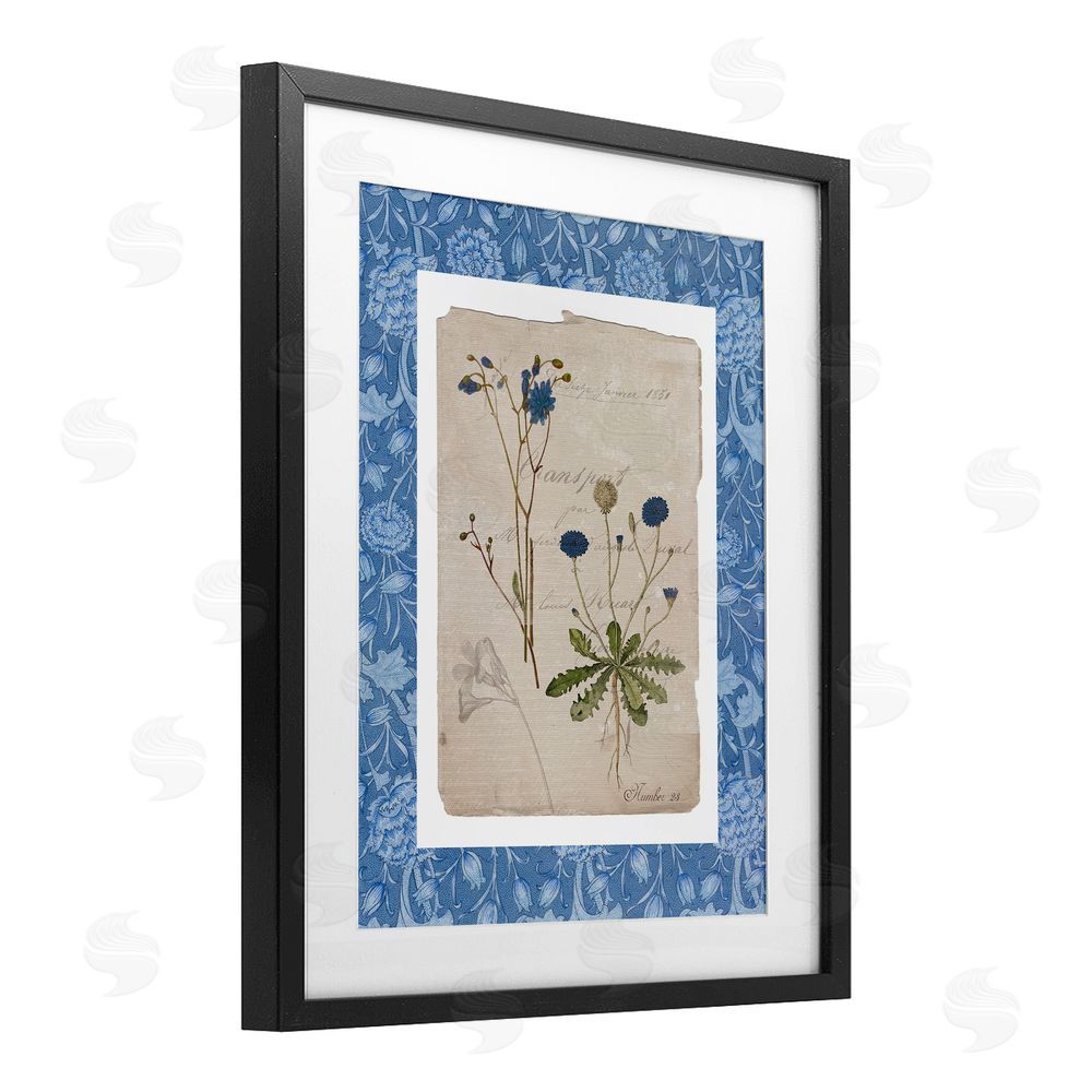 Livi Finn Blue Antique Herbs Black Framed Print Under Glass Wall Art