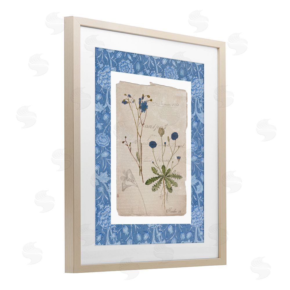 Livi Finn Blue Antique Herbs Birch Framed Print Under Glass Wall Art