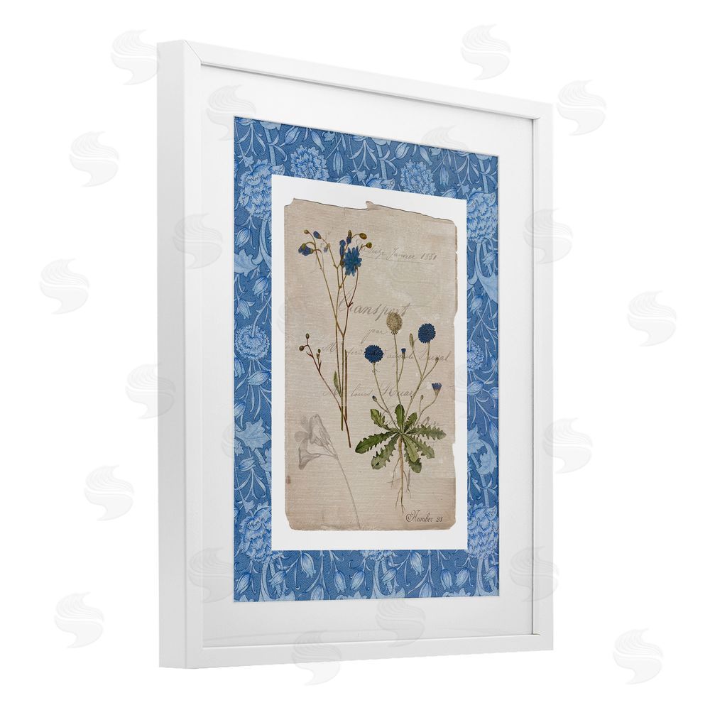 Livi Finn Blue Antique Herbs White Framed Print Under Glass Wall Art