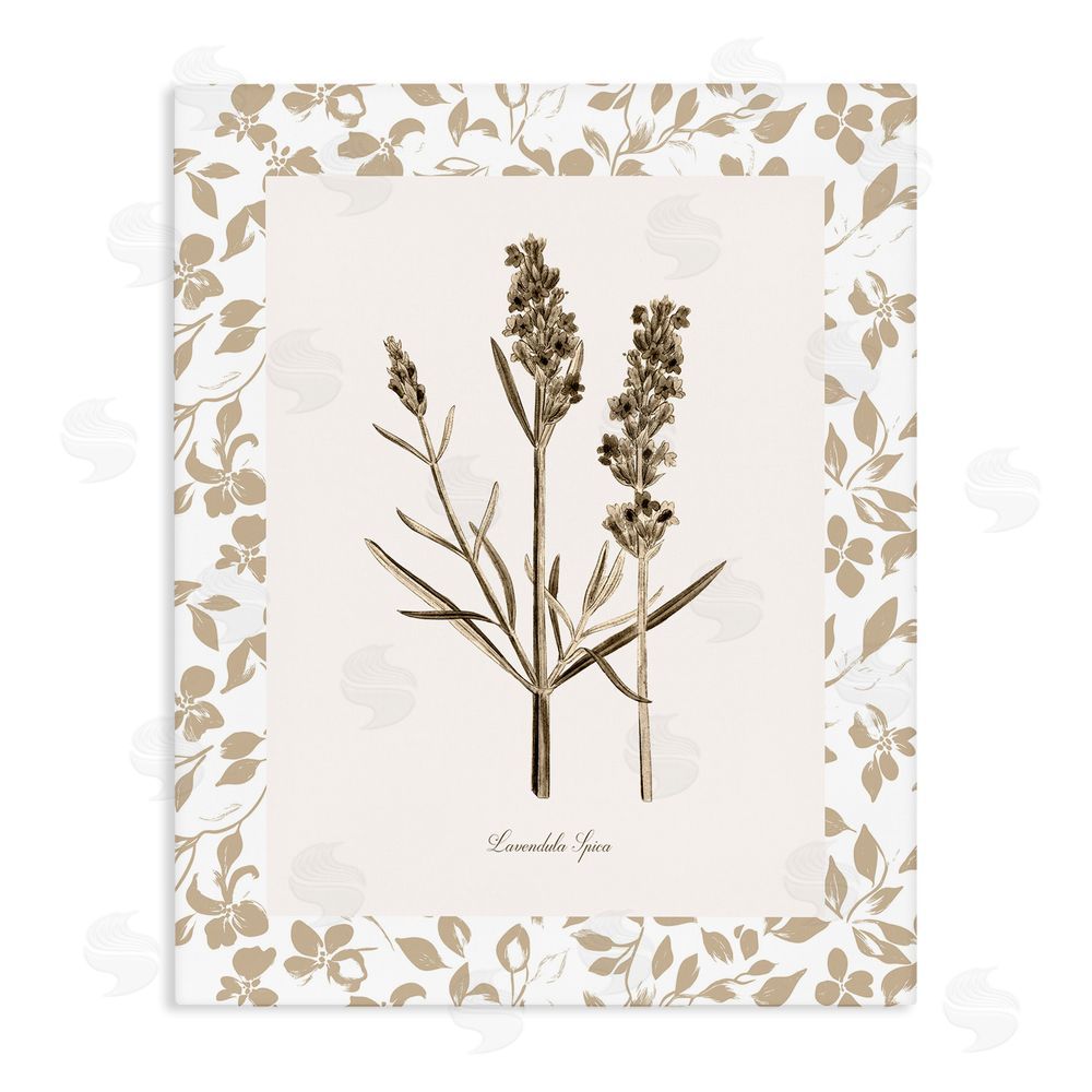 Kelly Donovan Neutral Imperial Herb Study Stretched Canvas Wall Art Print