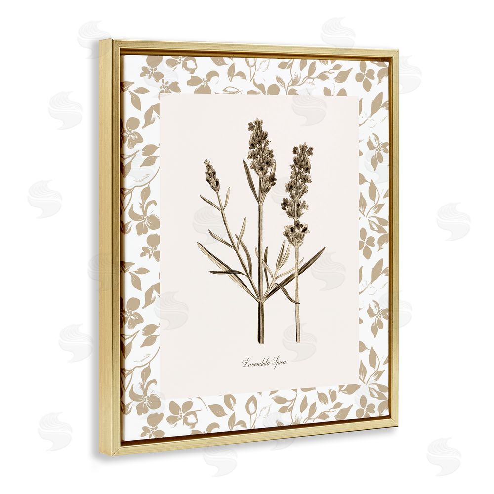 Kelly Donovan Neutral Imperial Herb Study Gold Floating Frame Canvas Wall Art Print