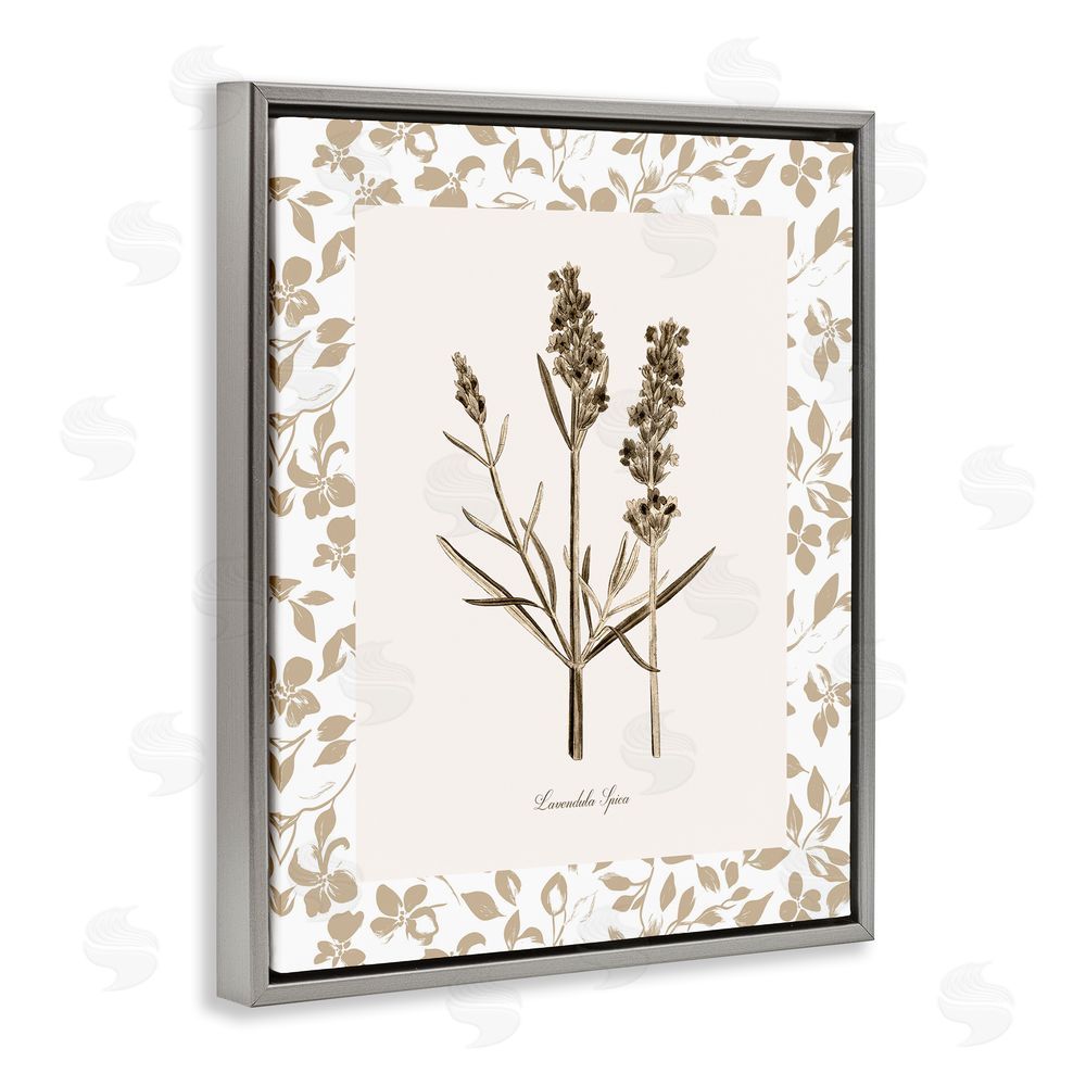 Kelly Donovan Neutral Imperial Herb Study Gray Floating Frame Canvas Wall Art Print