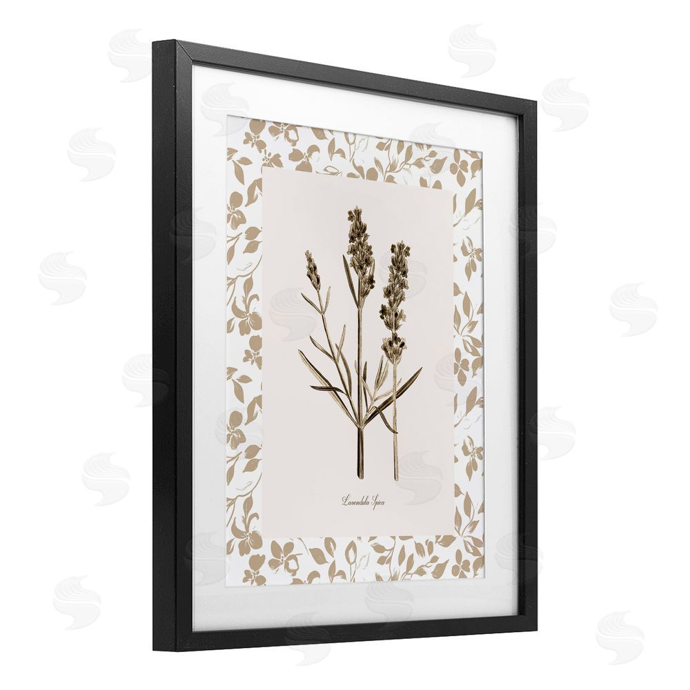 Kelly Donovan Neutral Imperial Herb Study Black Framed Print Under Glass Wall Art