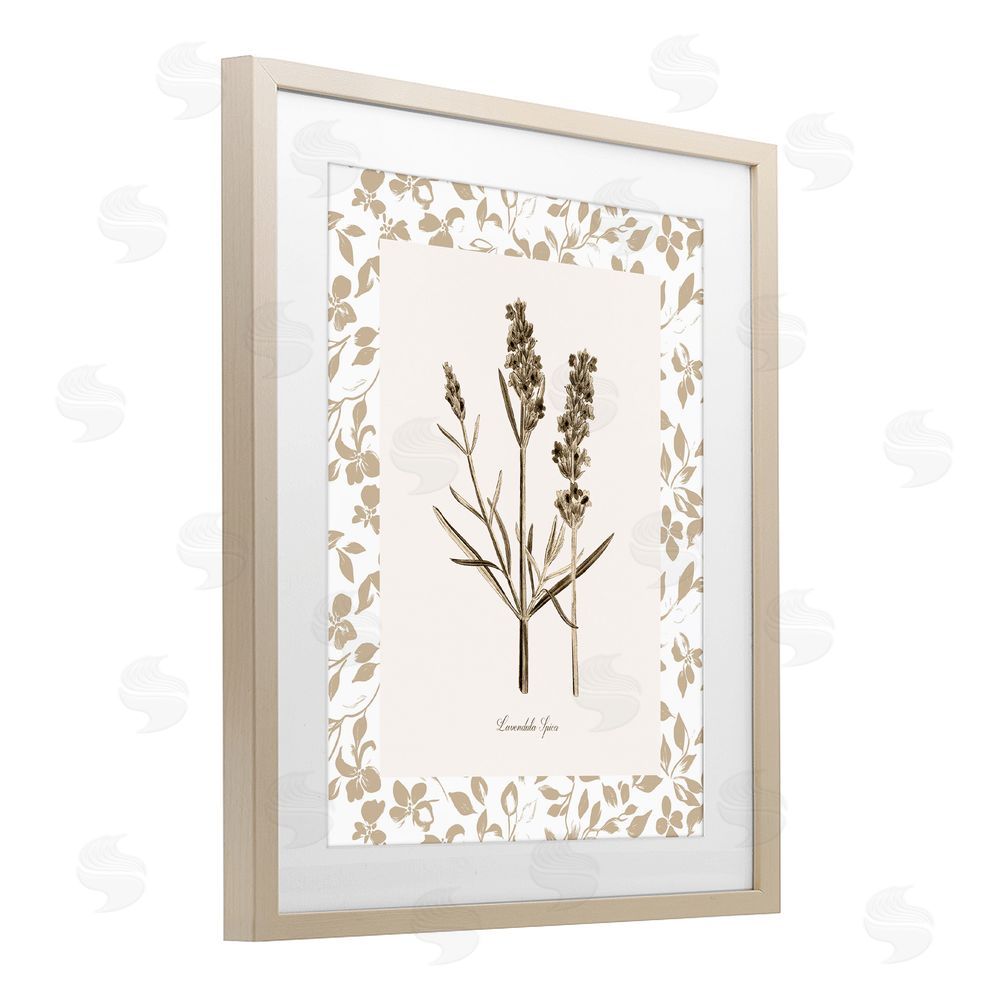 Kelly Donovan Neutral Imperial Herb Study Birch Framed Print Under Glass Wall Art