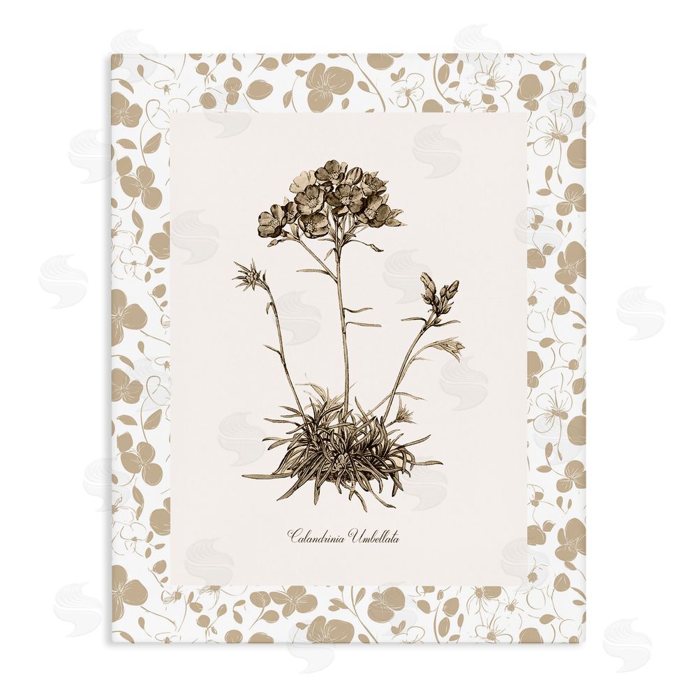 Kelly Donovan Neutral Imperial Flower & Herb Stretched Canvas Wall Art Print