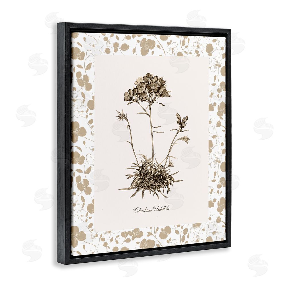 Kelly Donovan Neutral Imperial Flower & Herb Black Floating Frame Canvas Wall Art Print