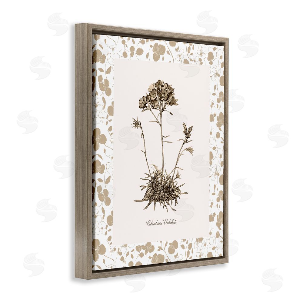 Kelly Donovan Neutral Imperial Flower & Herb Brown Floating Frame Canvas Wall Art Print