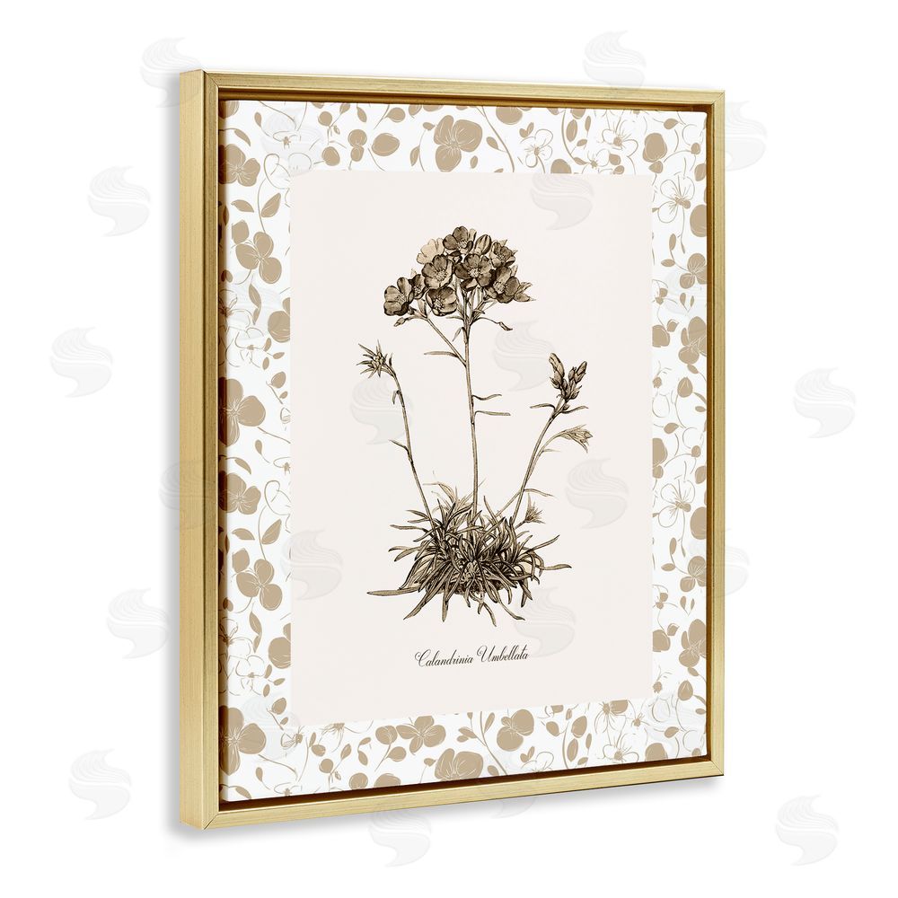 Kelly Donovan Neutral Imperial Flower & Herb Gold Floating Frame Canvas Wall Art Print
