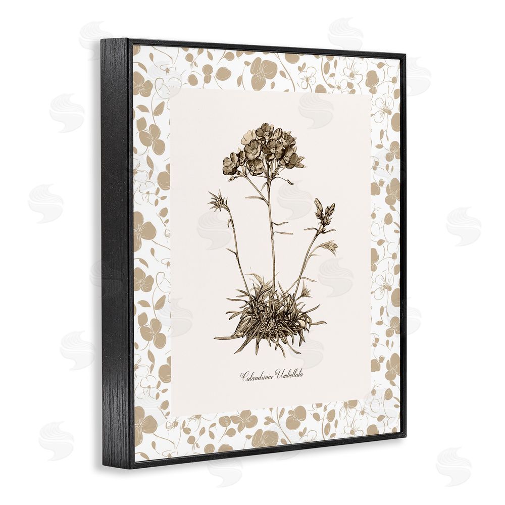 Kelly Donovan Neutral Imperial Flower & Herb Black Framed Giclee Wall Art Print