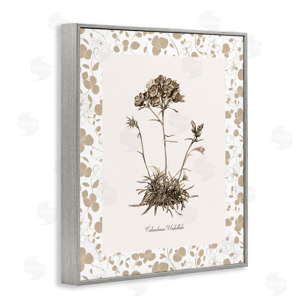 Kelly Donovan Neutral Imperial Flower & Herb Gray Framed Giclee Wall Art Print