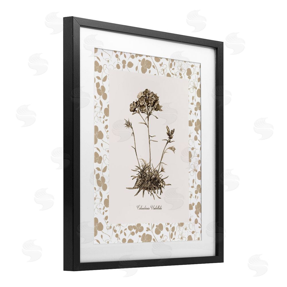 Kelly Donovan Neutral Imperial Flower & Herb Black Framed Print Under Glass Wall Art