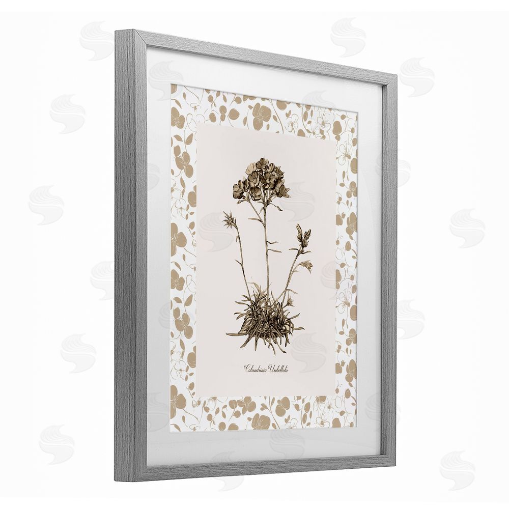 Kelly Donovan Neutral Imperial Flower & Herb Gray Framed Print Under Glass Wall Art