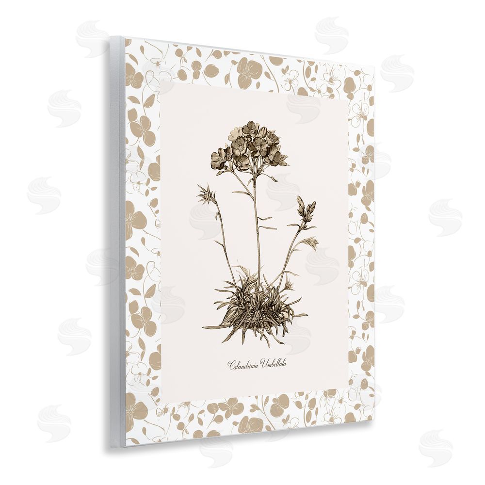 Kelly Donovan Neutral Imperial Flower & Herb Wall Plaque Art Print