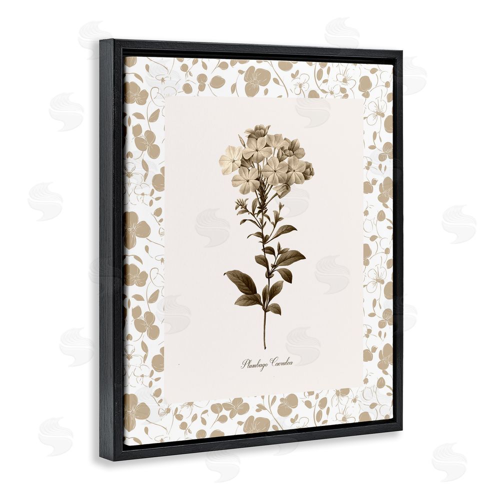 Kelly Donovan Neutral Imperial Botanical Black Floating Frame Canvas Wall Art Print