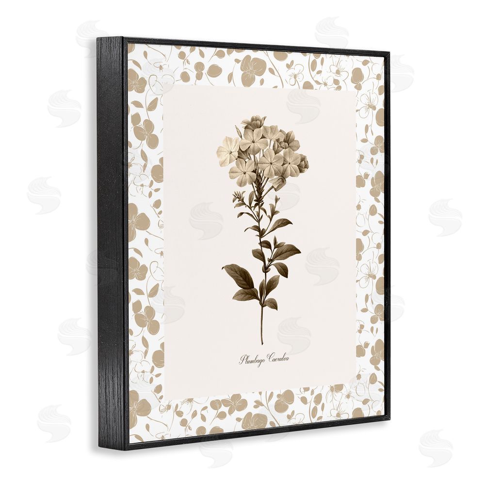 Kelly Donovan Neutral Imperial Botanical Black Framed Giclee Wall Art Print
