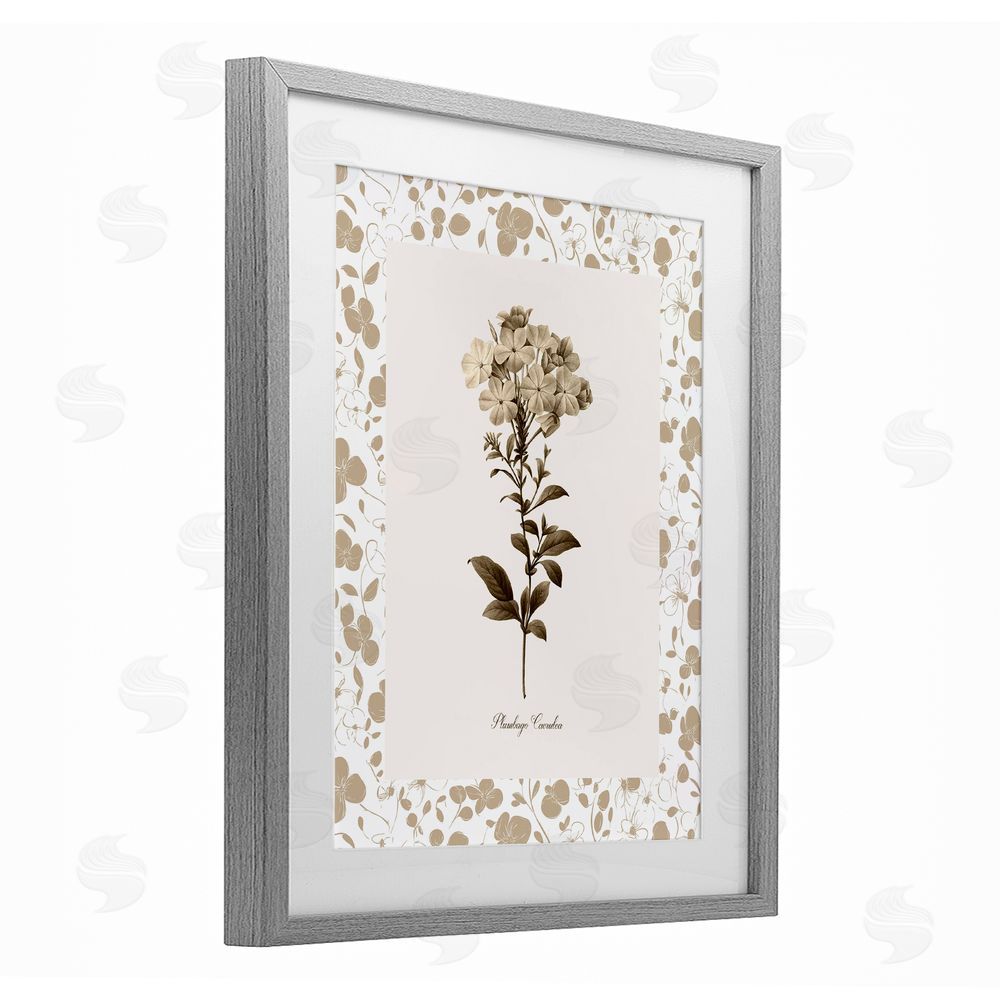 Kelly Donovan Neutral Imperial Botanical Gray Framed Print Under Glass Wall Art
