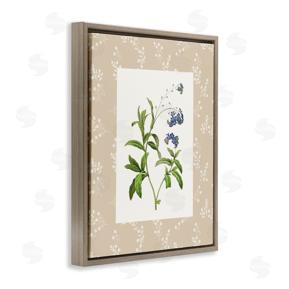 Val Rhodes Botanical Plate Design Brown Floating Frame Canvas Wall Art Print