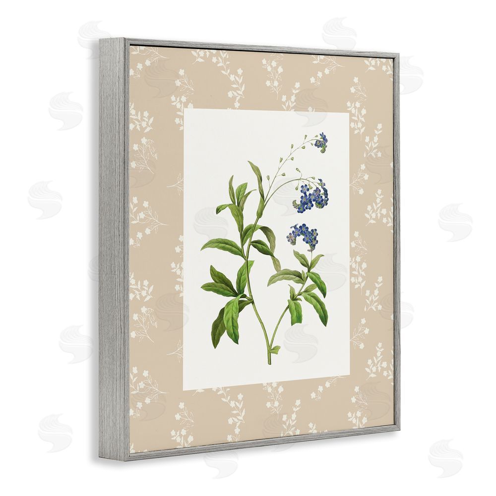 Val Rhodes Botanical Plate Design Gray Framed Giclee Wall Art Print