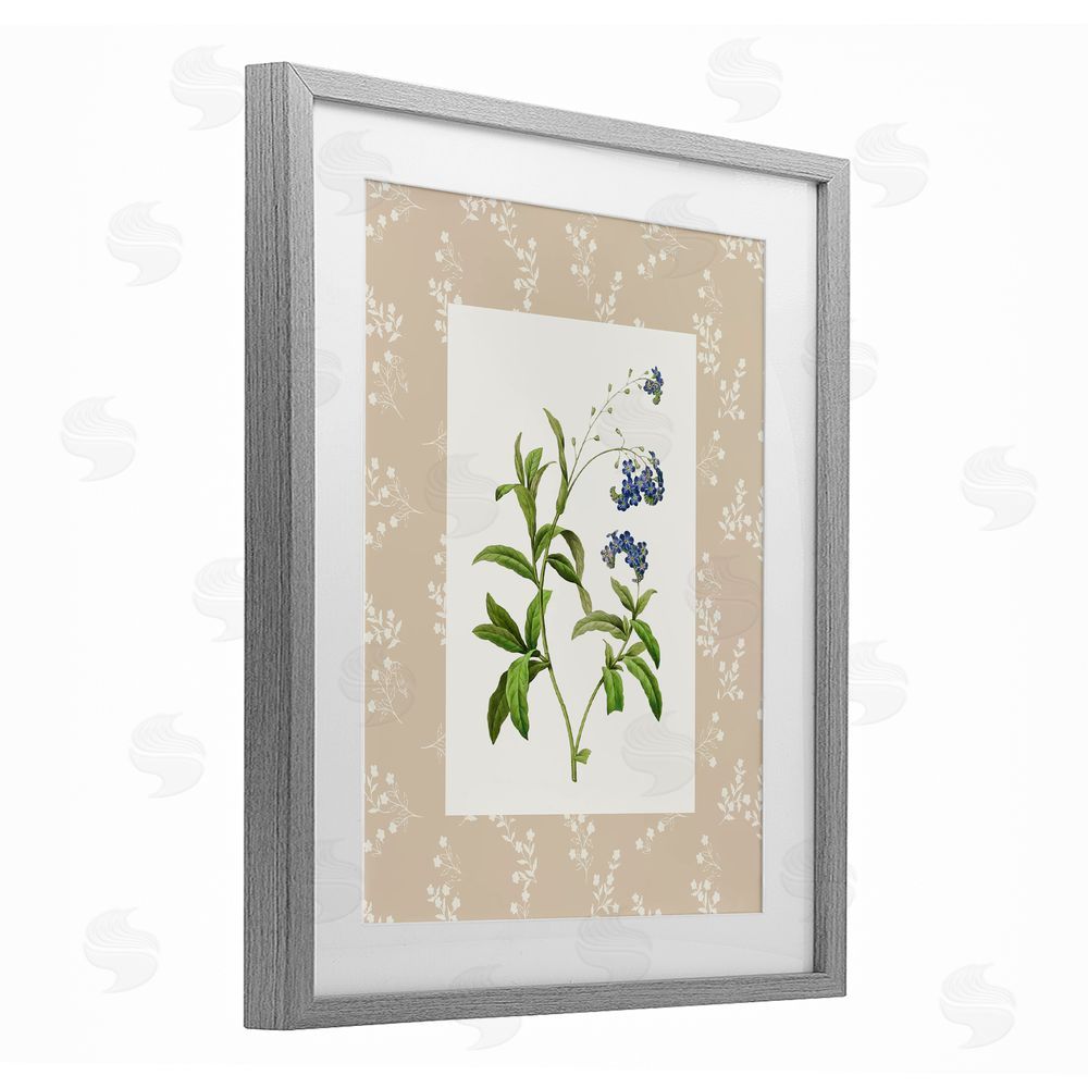 Val Rhodes Botanical Plate Design Gray Framed Print Under Glass Wall Art