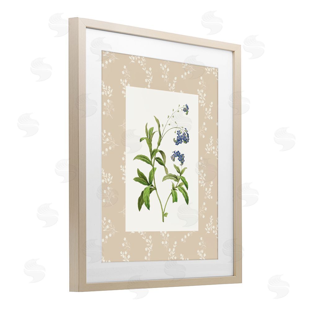 Val Rhodes Botanical Plate Design Birch Framed Print Under Glass Wall Art